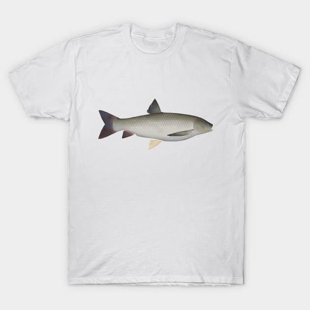 Grass Carp T-Shirt by FishFolkArt